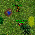 /album/galeria-de-fotos/centipede-png/